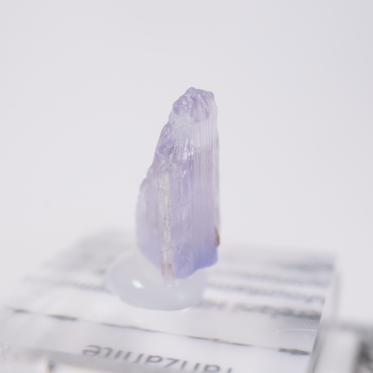 ����˥ҥ륺�� ���󥶥ʥ���