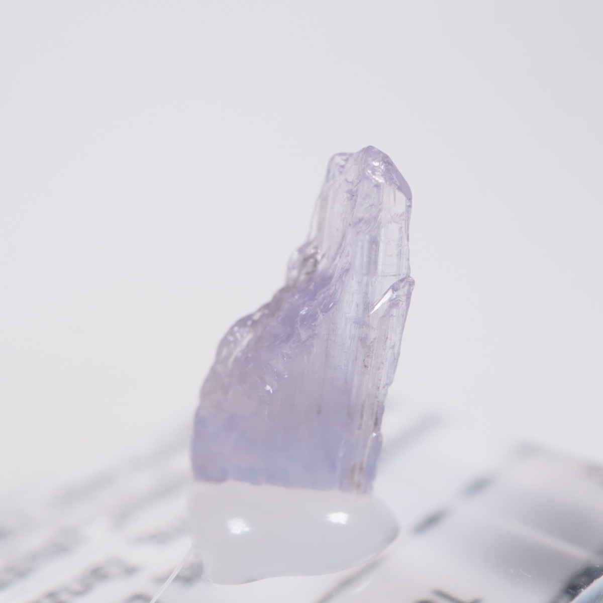 ����˥ҥ륺�� ���󥶥ʥ���