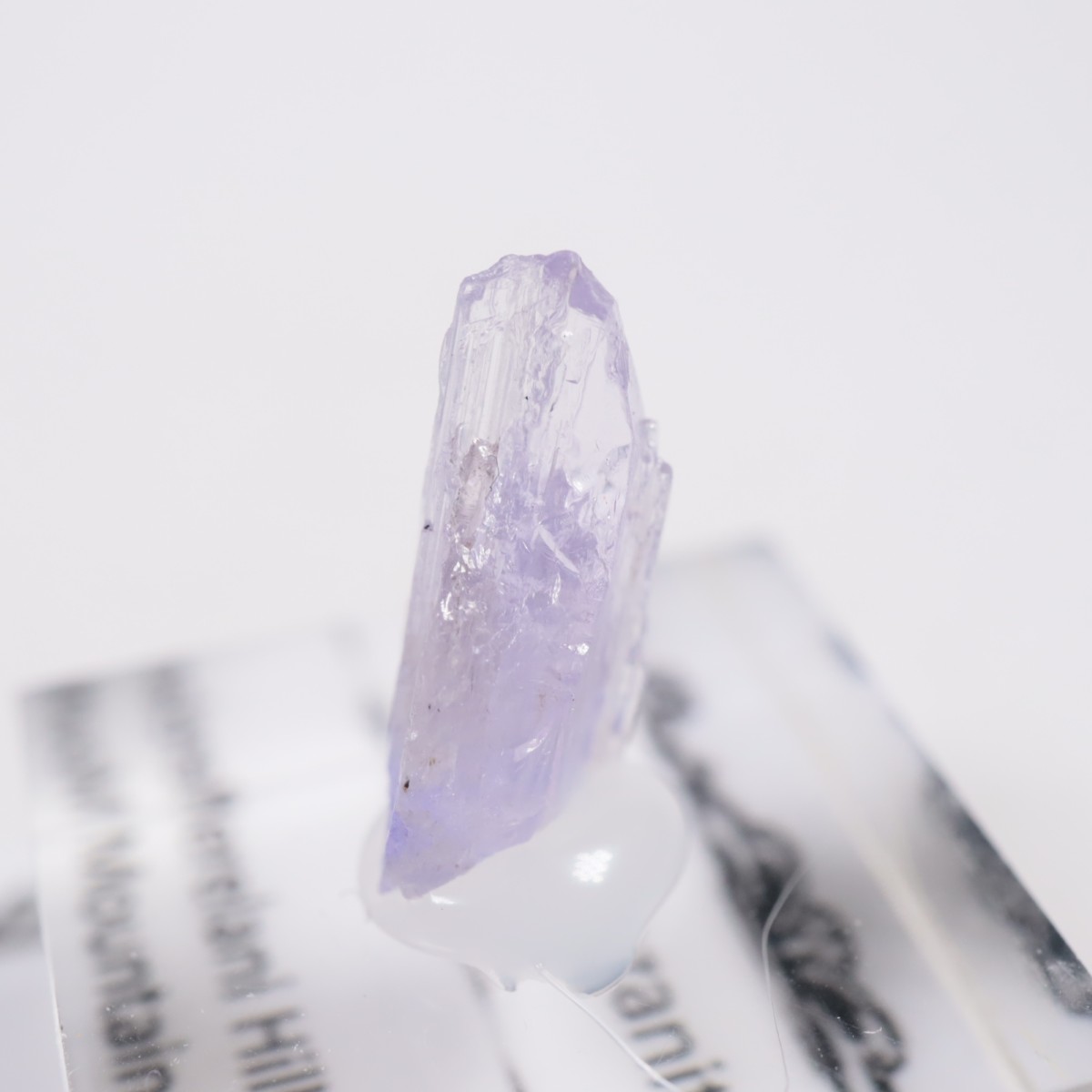 ����˥ҥ륺�� ���󥶥ʥ���