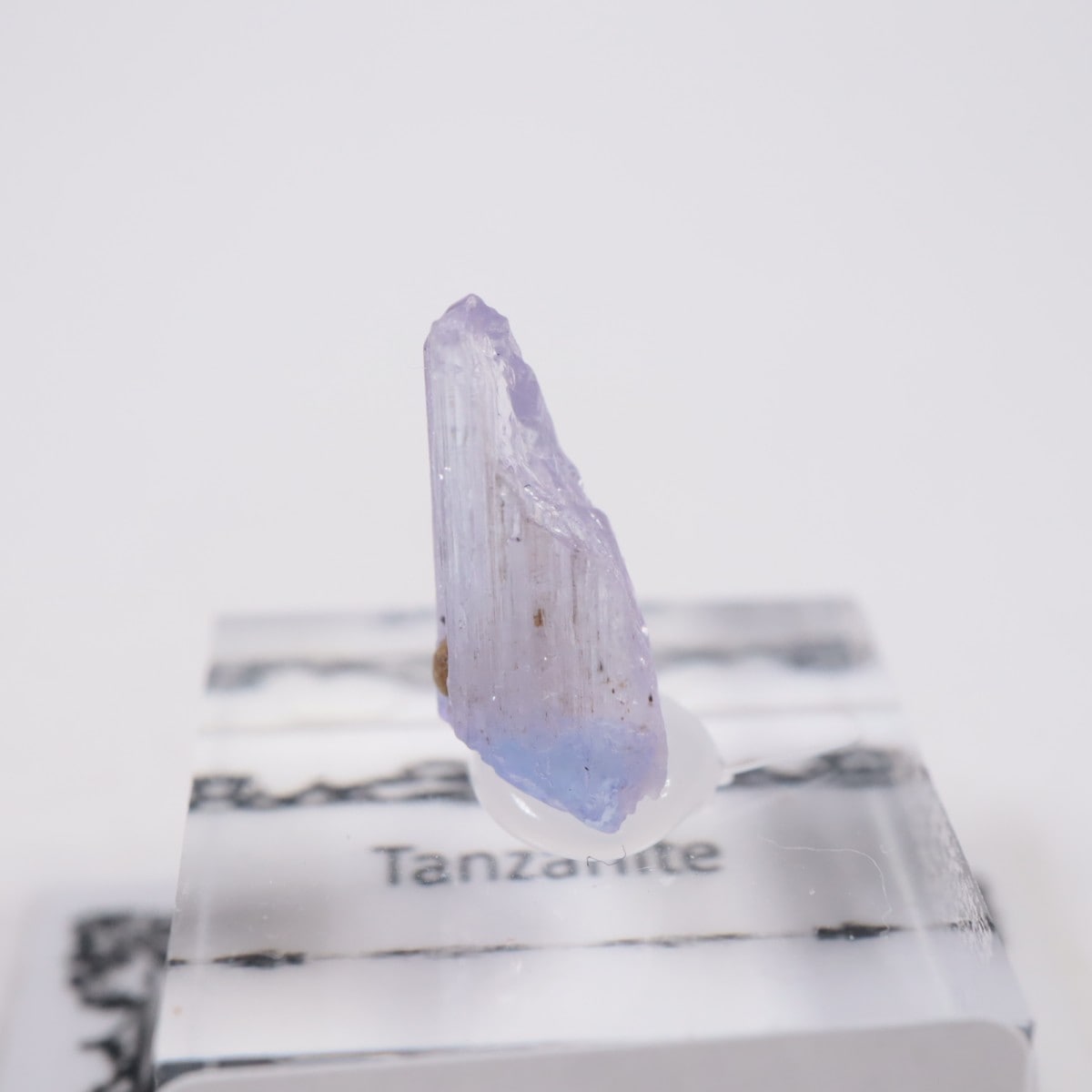 ����˥ҥ륺�� ���󥶥ʥ���