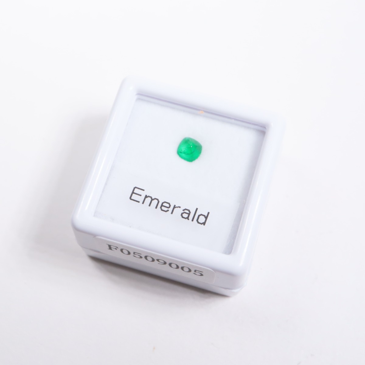 ���奬�������ե��å� �������