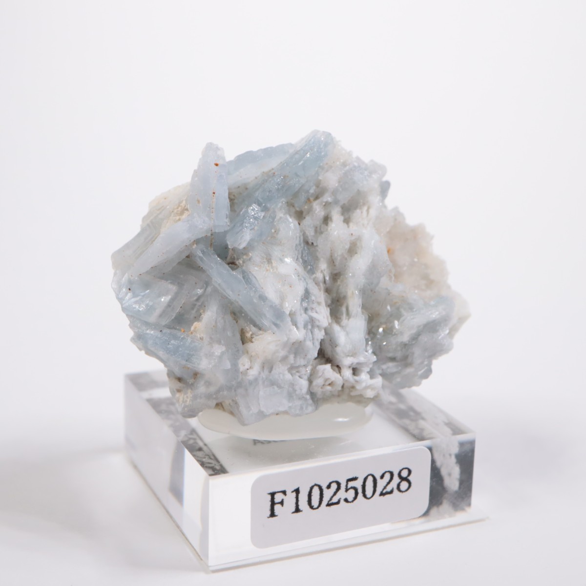 ���ڥ��� �Х饤��