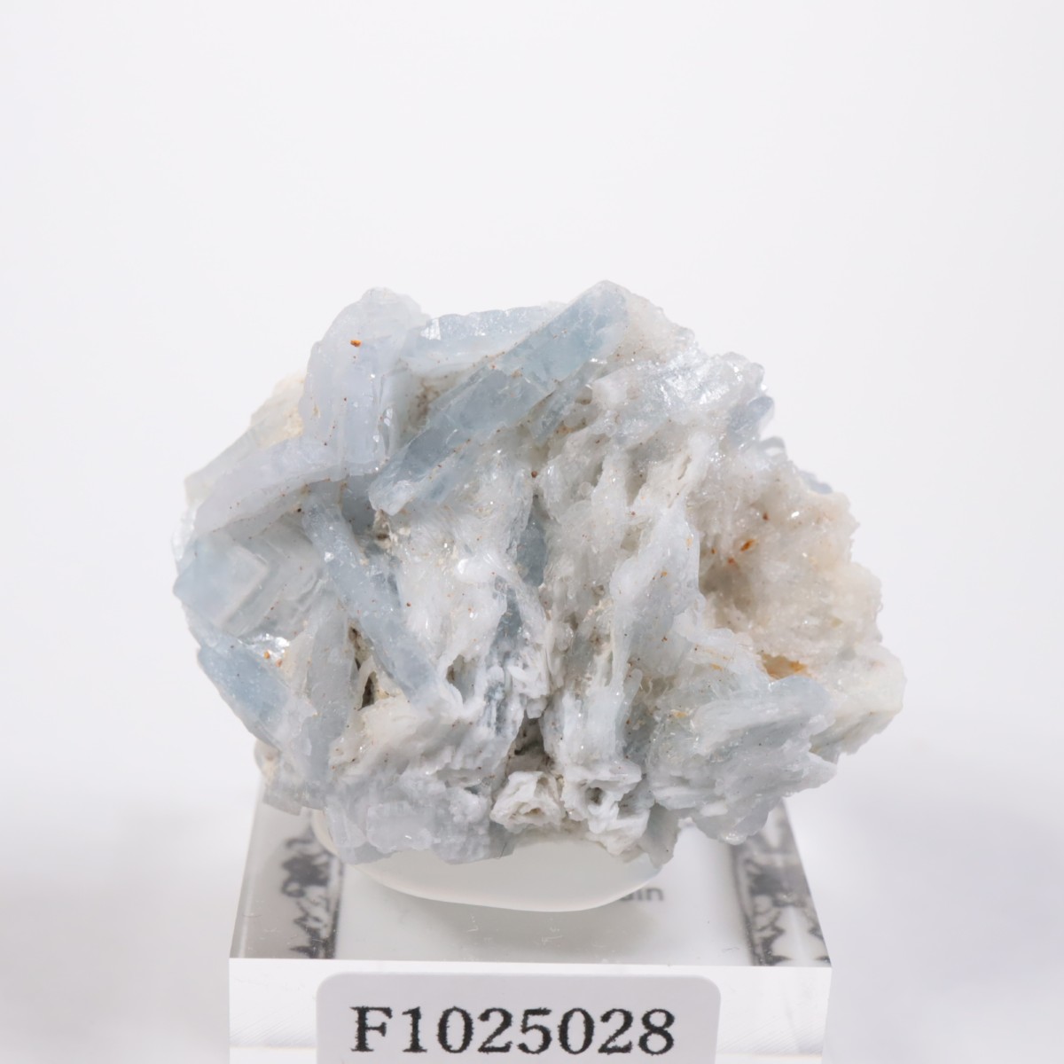 ���ڥ��� �Х饤��