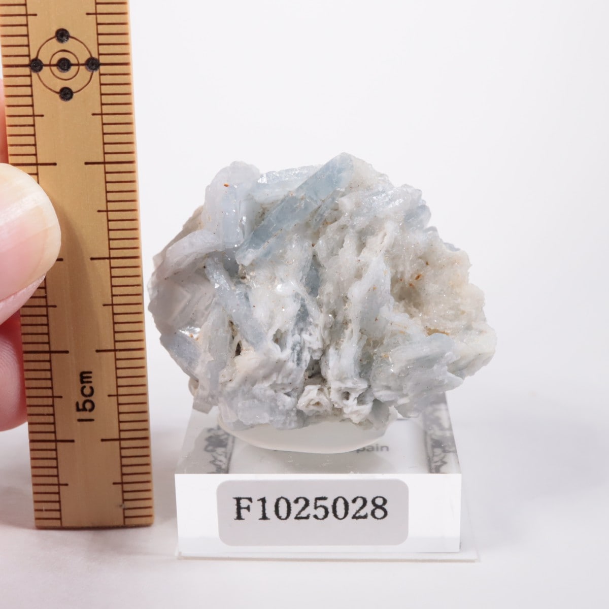 ���ڥ��� �Х饤��