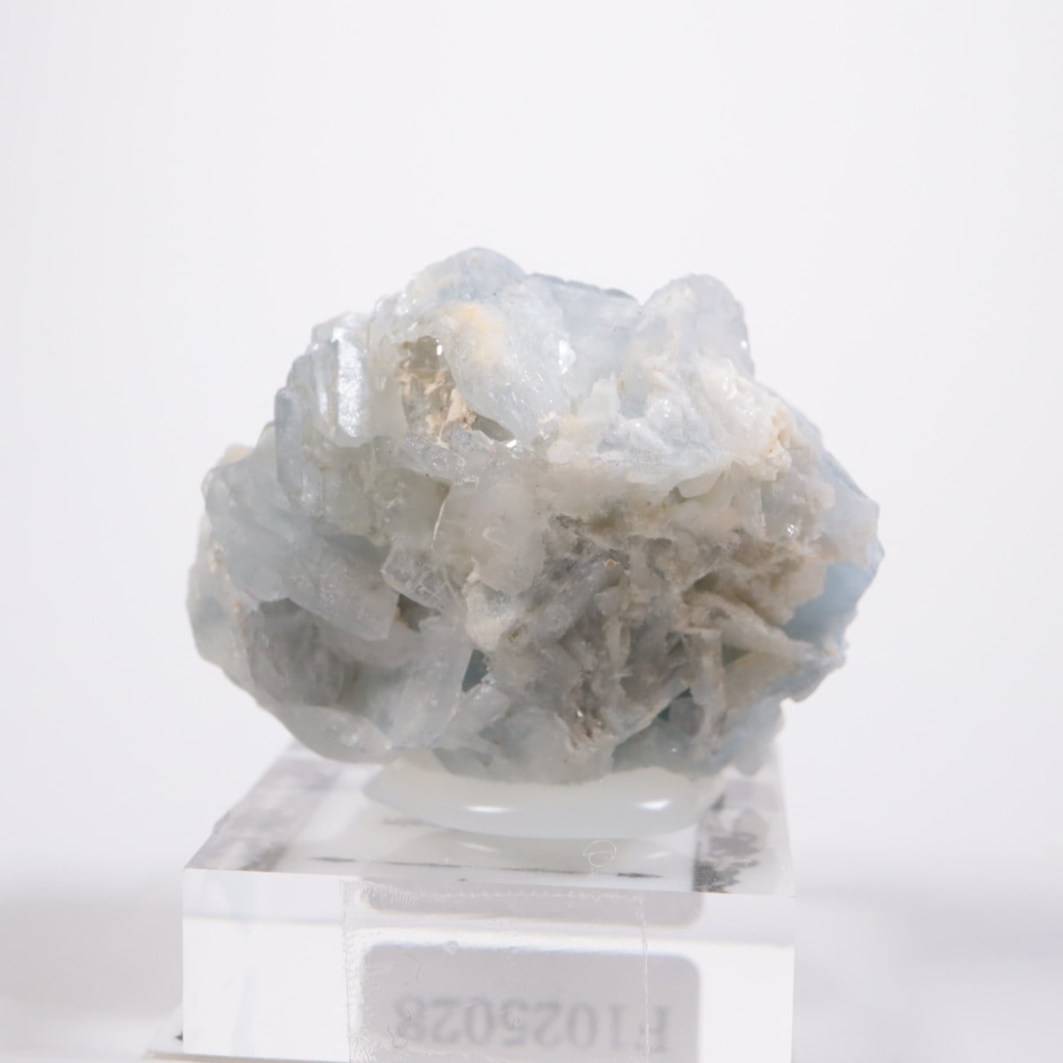 ���ڥ��� �Х饤��