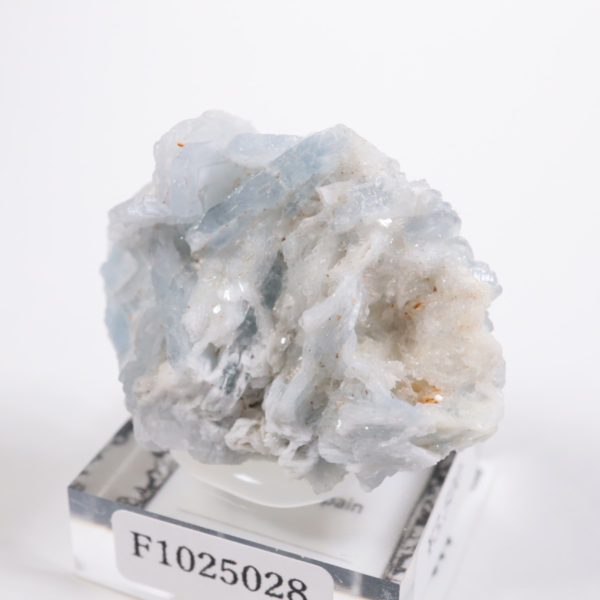 ���ڥ��� �Х饤��