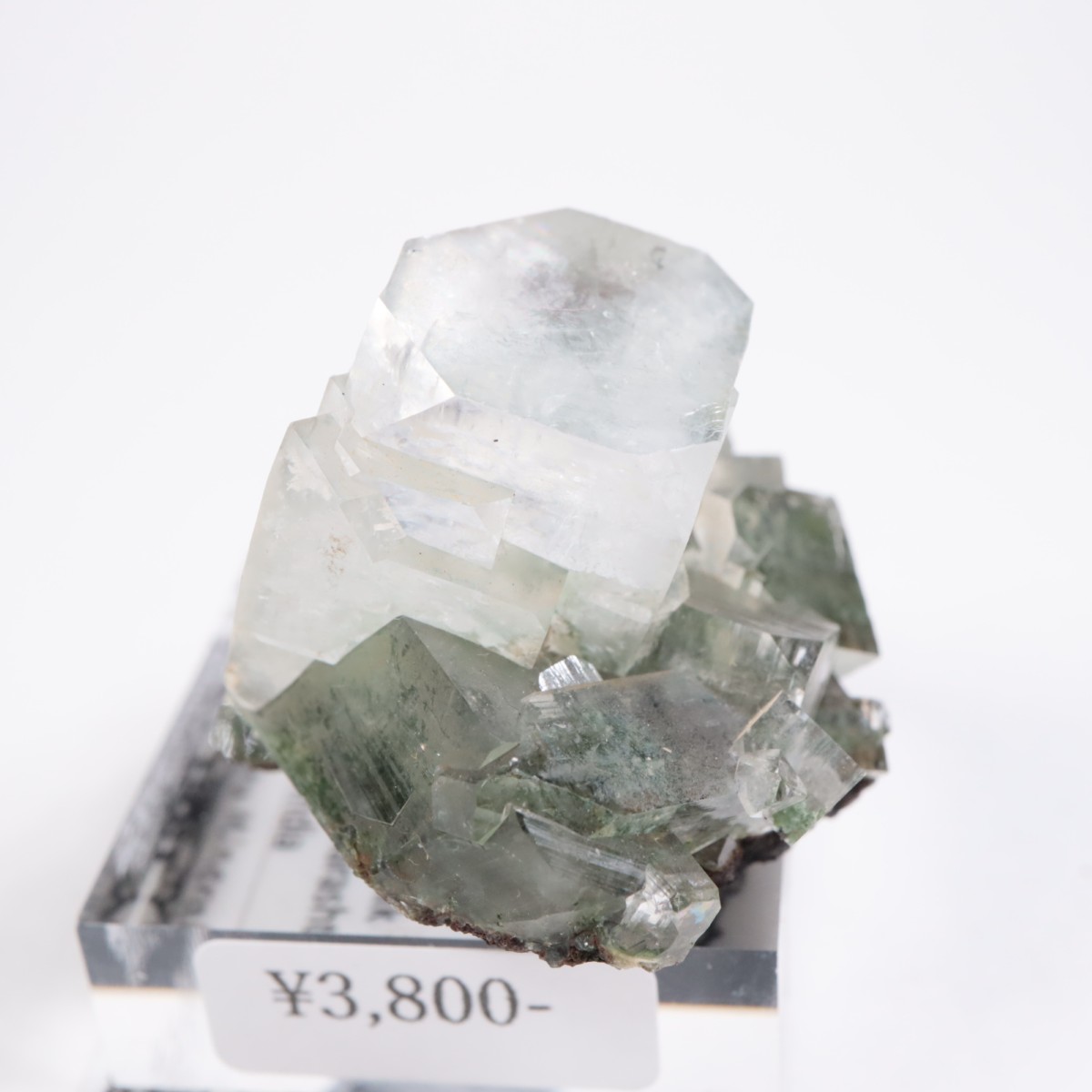 ����ɻ� ���ݥե��饤��