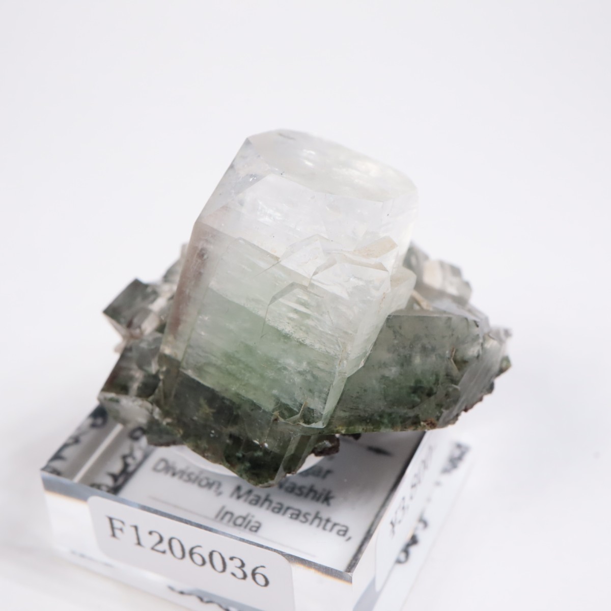 ����ɻ� ���ݥե��饤��