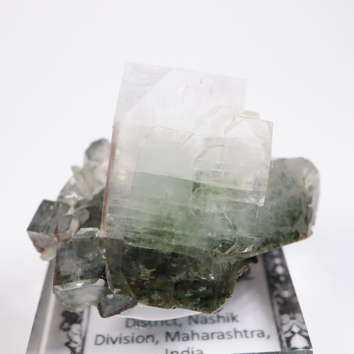 ����ɻ� ���ݥե��饤��