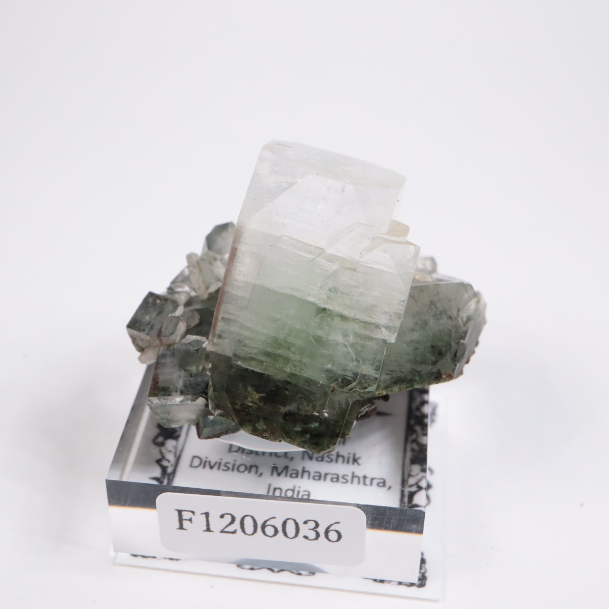 ����ɻ� ���ݥե��饤��