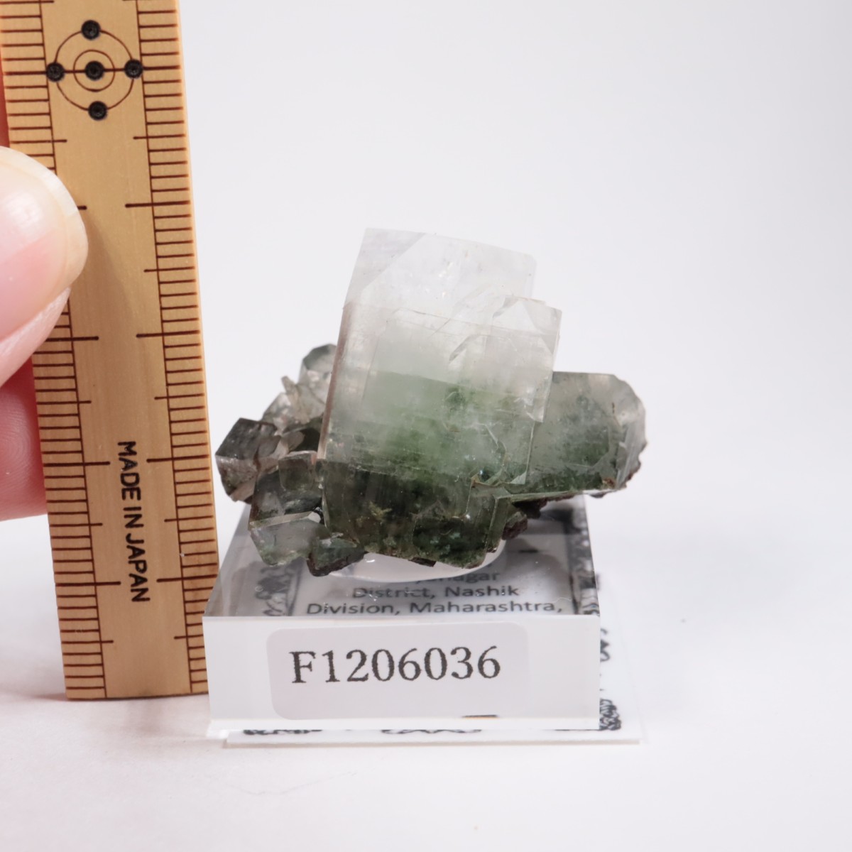 ����ɻ� ���ݥե��饤��