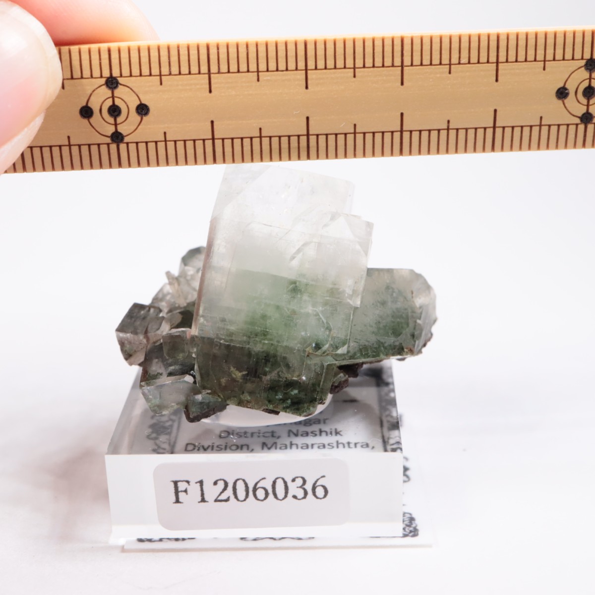 ����ɻ� ���ݥե��饤��