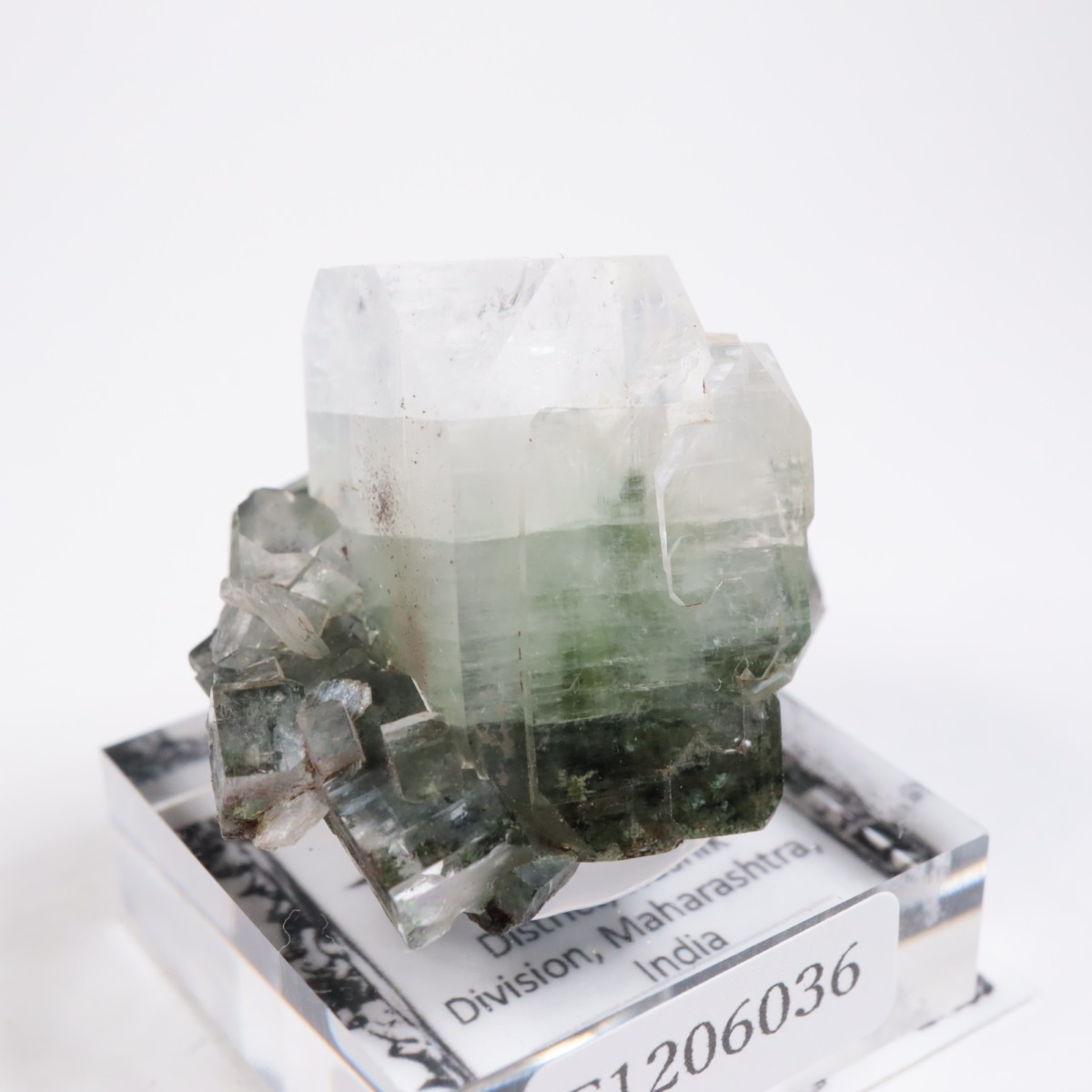 ����ɻ� ���ݥե��饤��