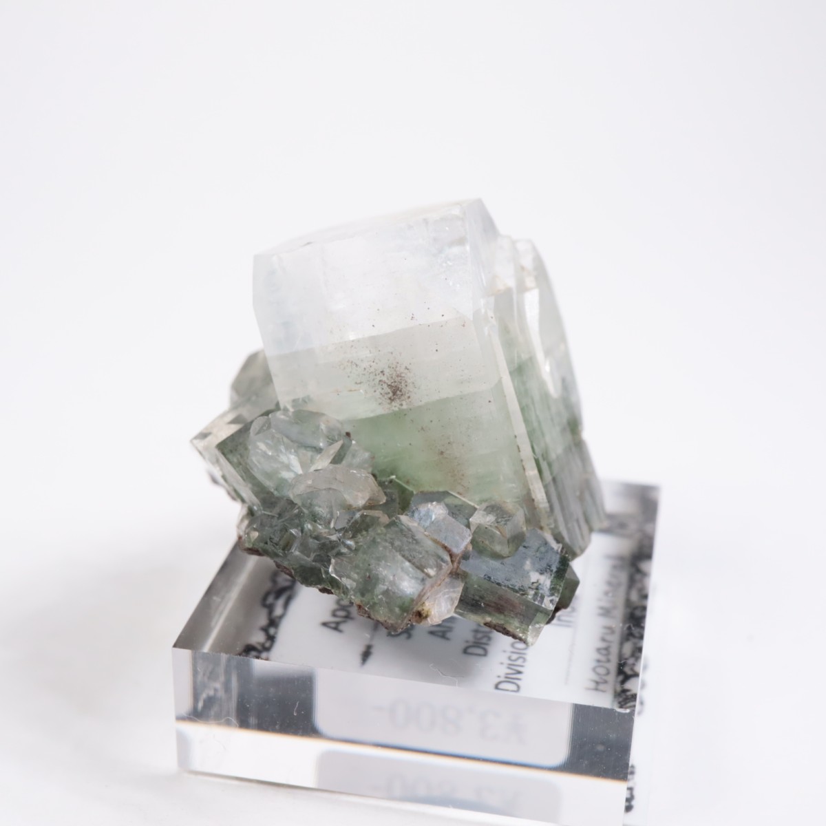 ����ɻ� ���ݥե��饤��