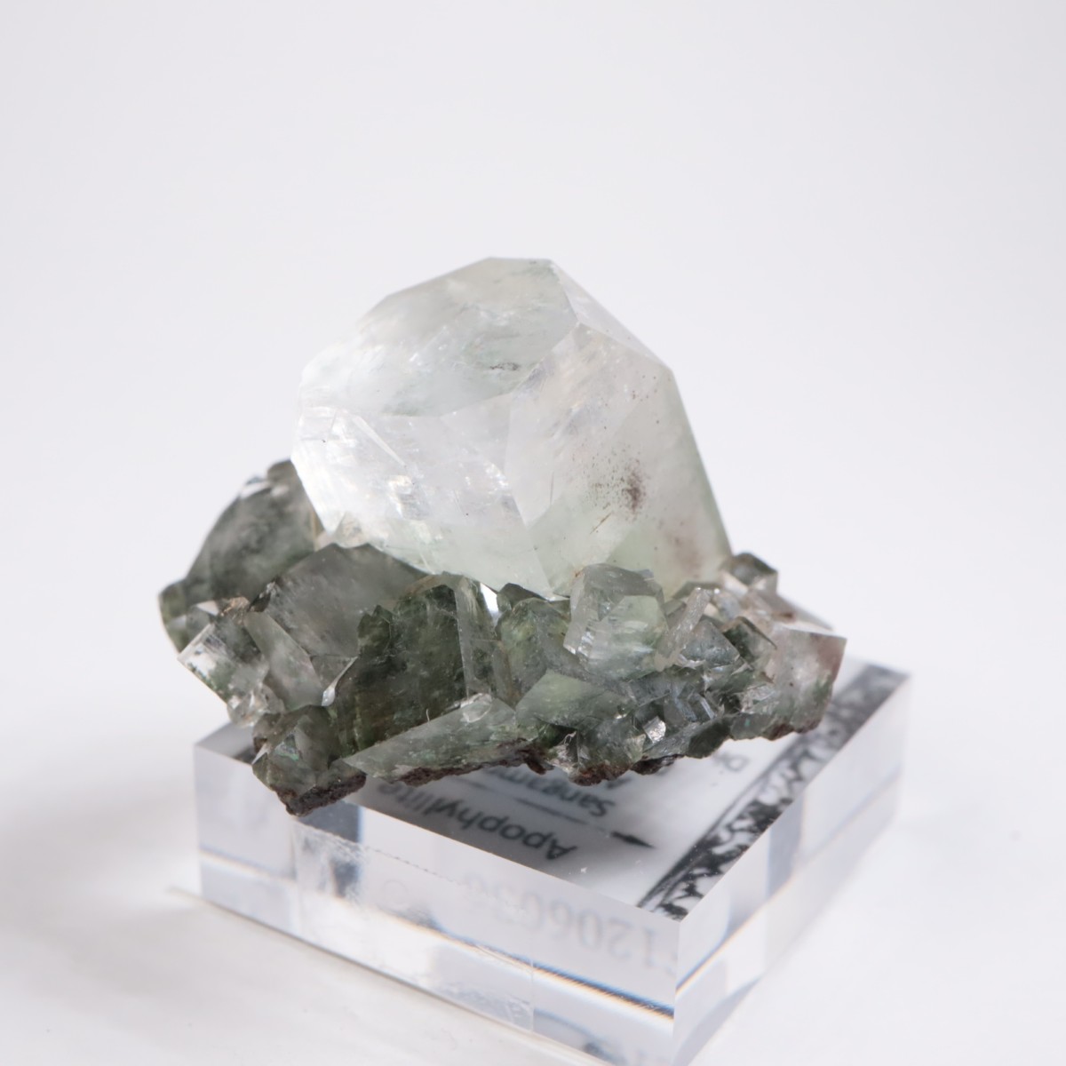 ����ɻ� ���ݥե��饤��