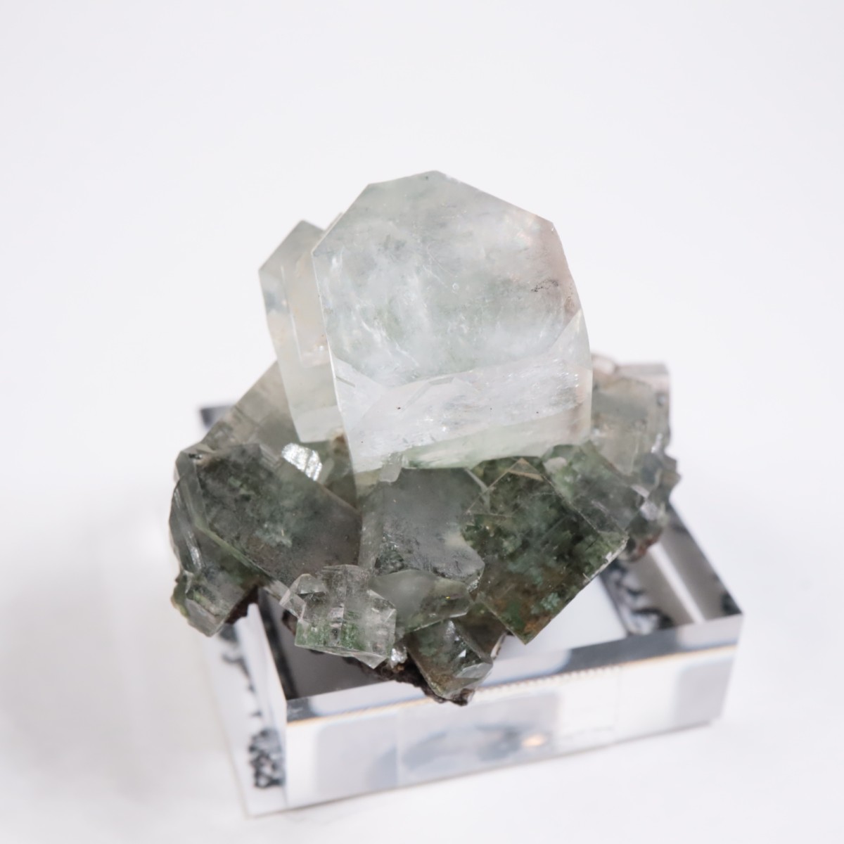 ����ɻ� ���ݥե��饤��