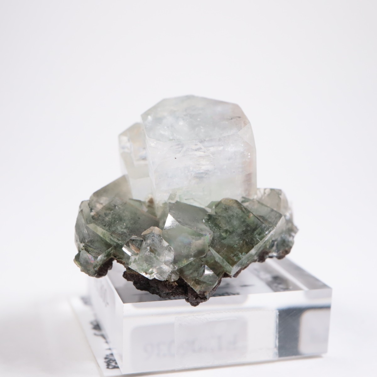 ����ɻ� ���ݥե��饤��