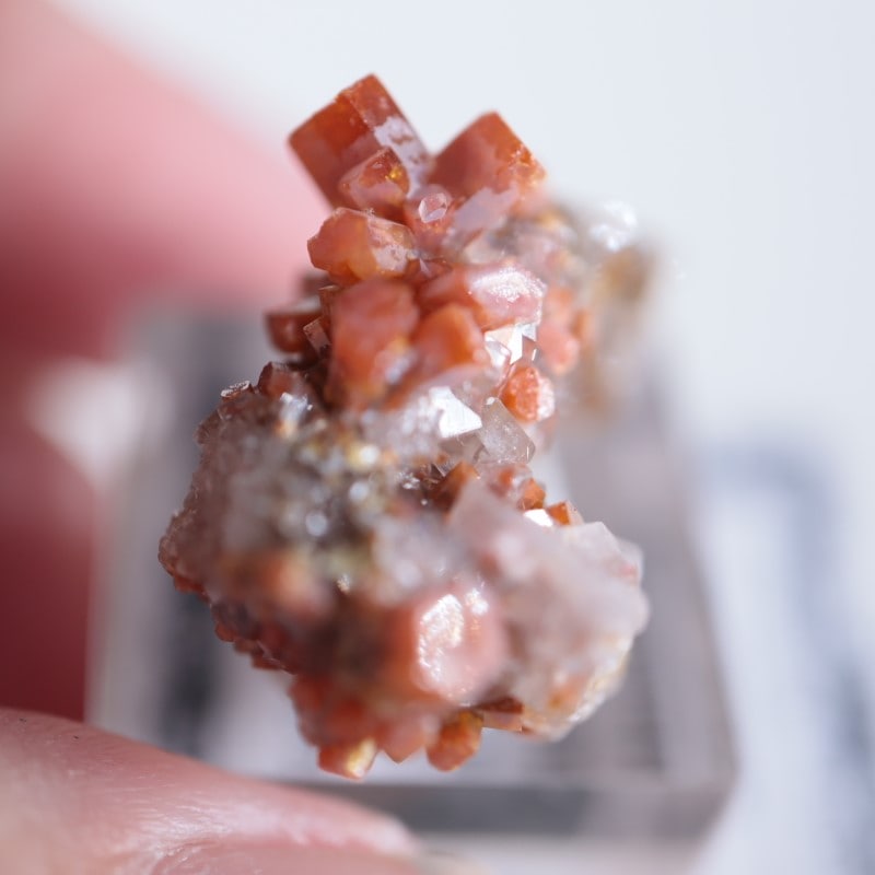 �ᥭ���������Хʥǥ��ʥ��ȡ��Хʥ������