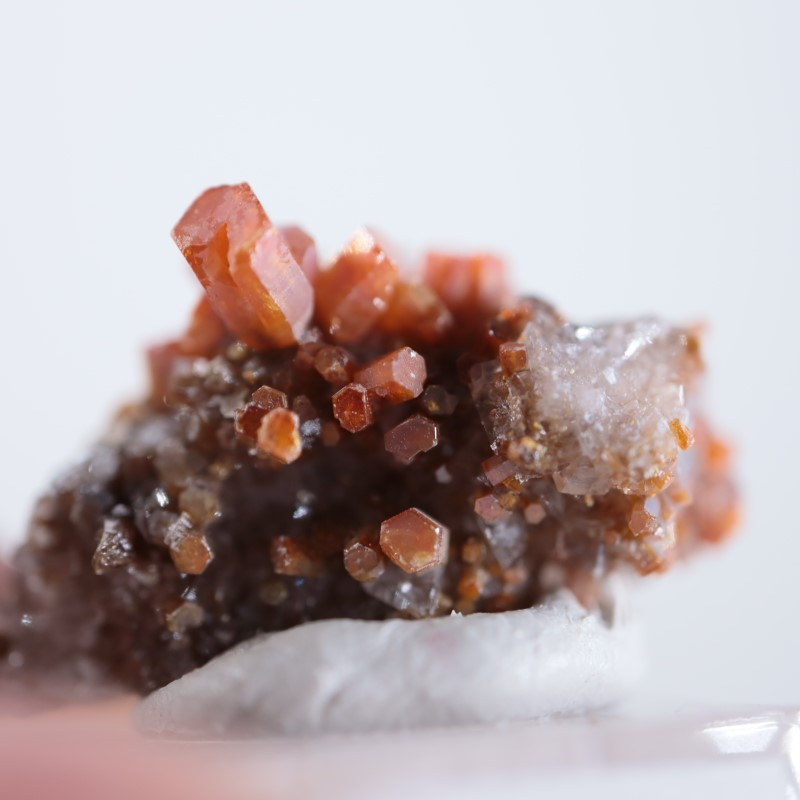 �ᥭ���������Хʥǥ��ʥ��ȡ��Хʥ������