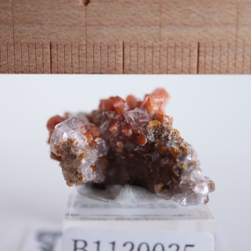 �ᥭ���������Хʥǥ��ʥ��ȡ��Хʥ������