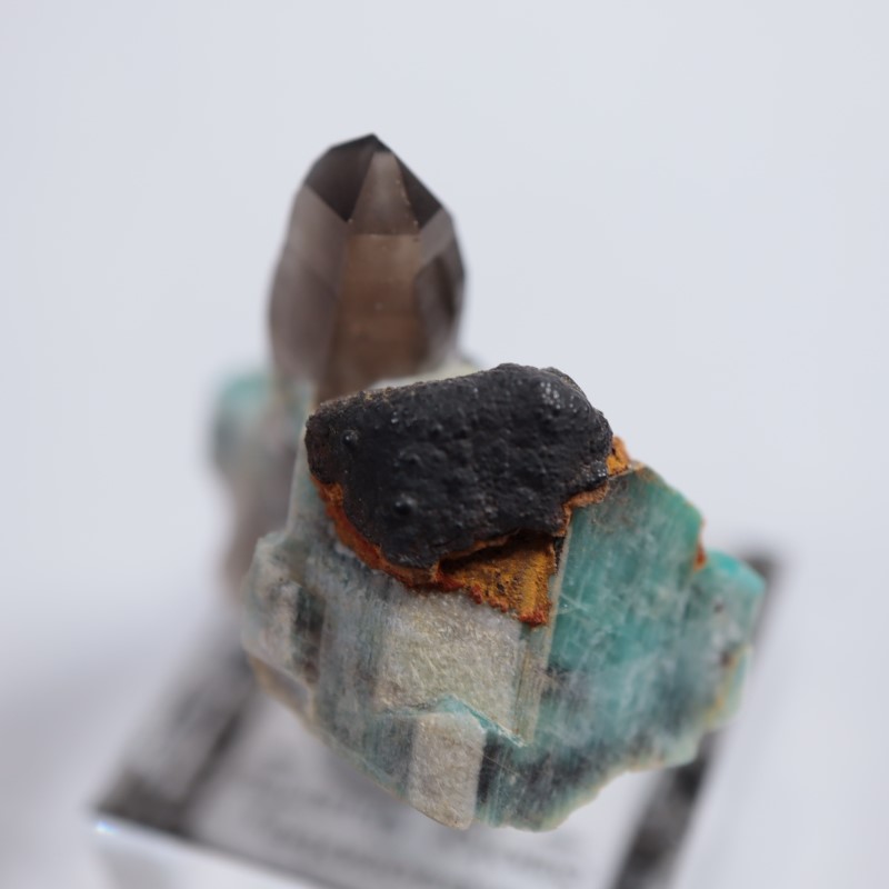 8_000000004869.jpg?1677409336