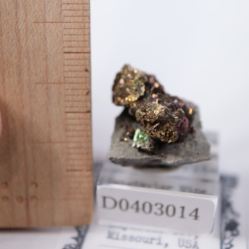 チャルコパイライト 黄銅鉱チャルコパイライト｜パイライトとの違いは？酸化したら色が