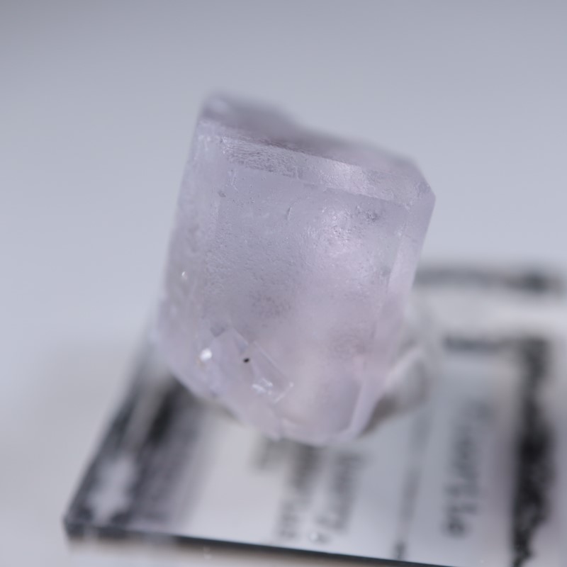 Llamas�����ե����饤��