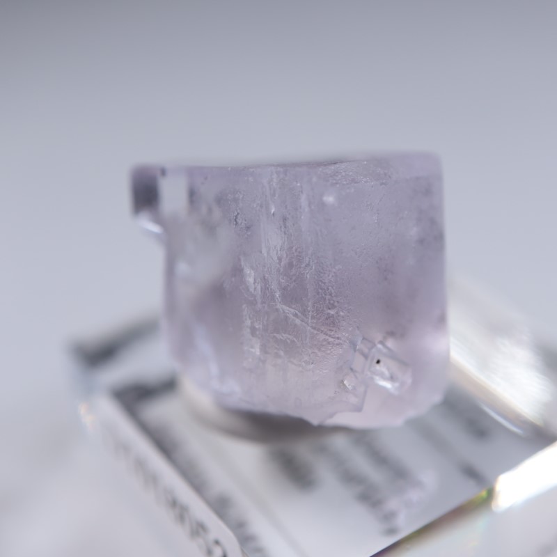 Llamas�����ե����饤��