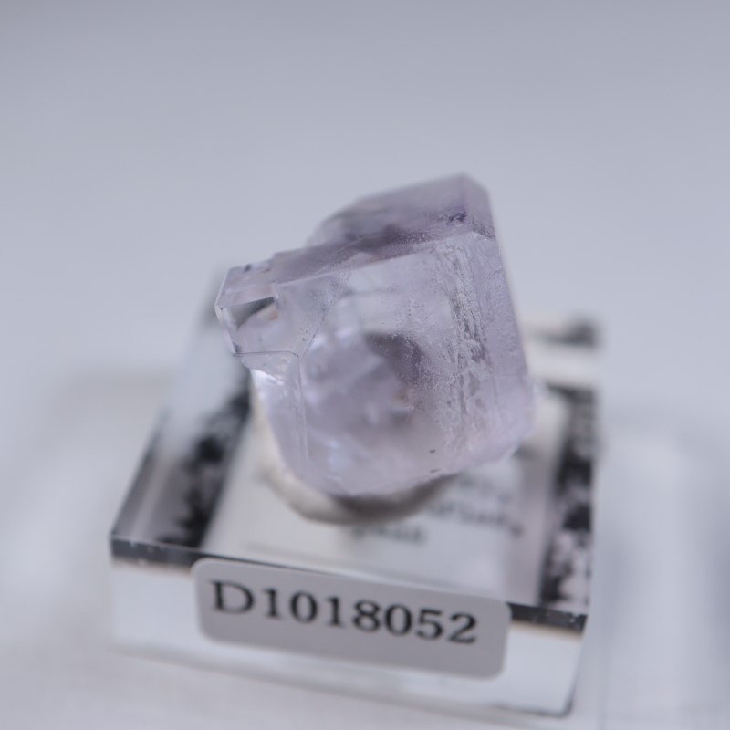 Llamas�����ե����饤��