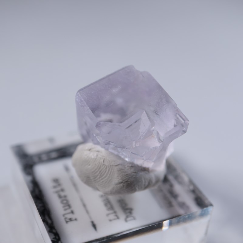 Llamas�����ե����饤��