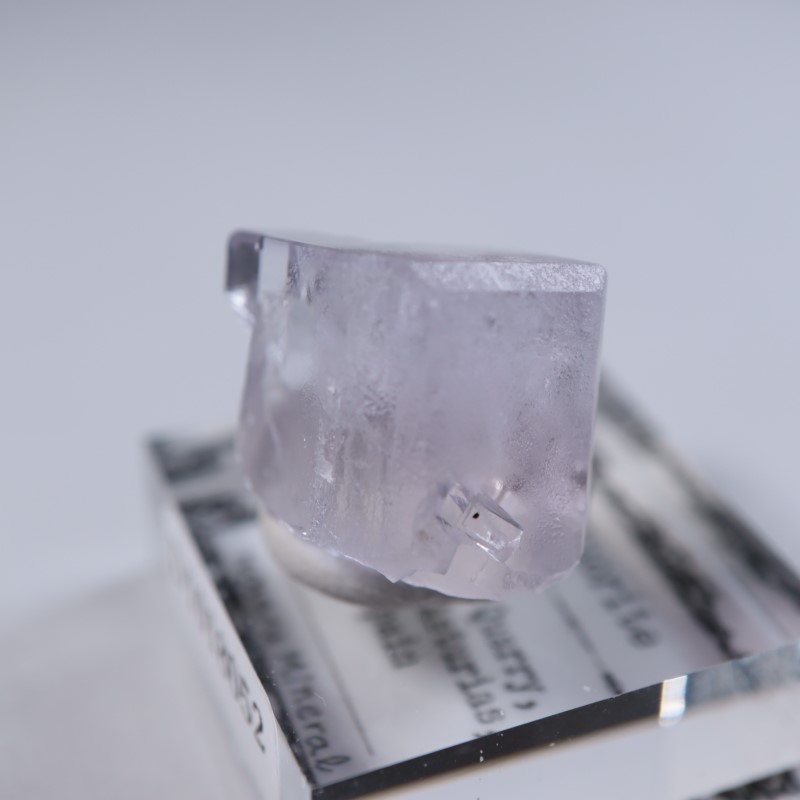 Llamas�����ե����饤��