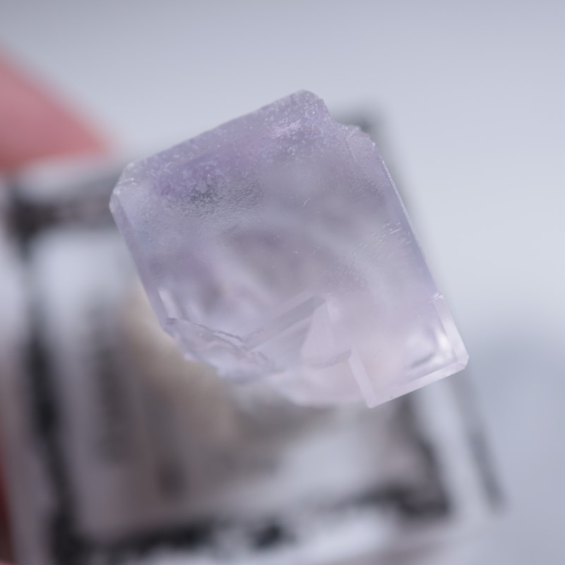 Llamas�����ե����饤��