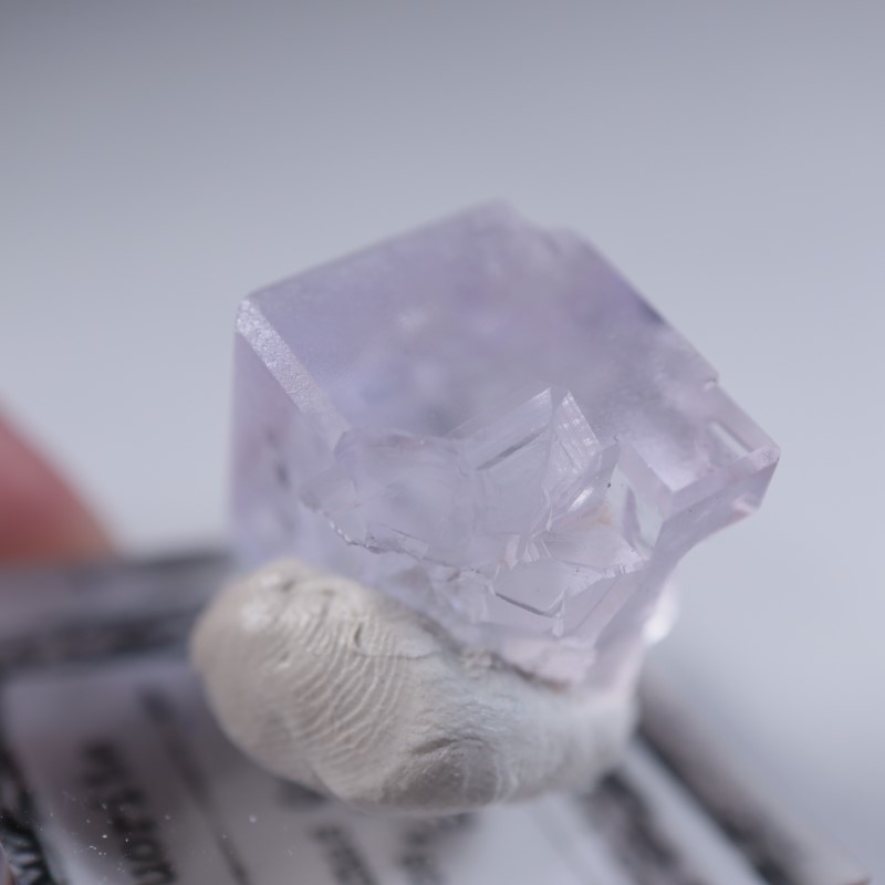 Llamas�����ե����饤��