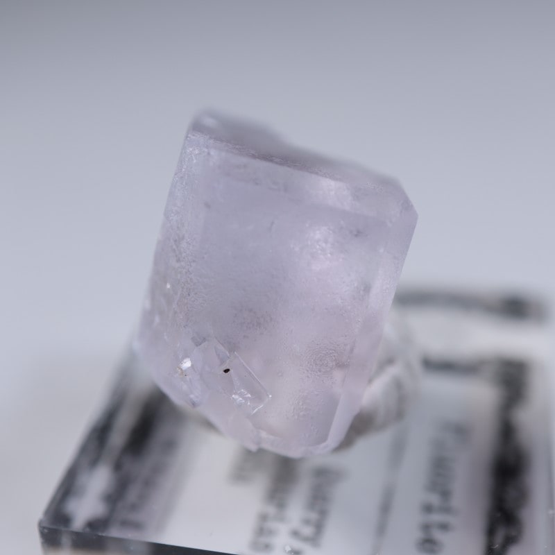 Llamas�����ե����饤��