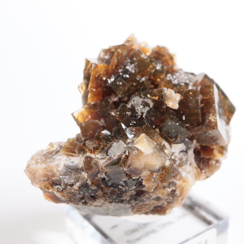 オハイオ州 フローライト | 鉱物標本,ハ行,フローライト/蛍石,フロー