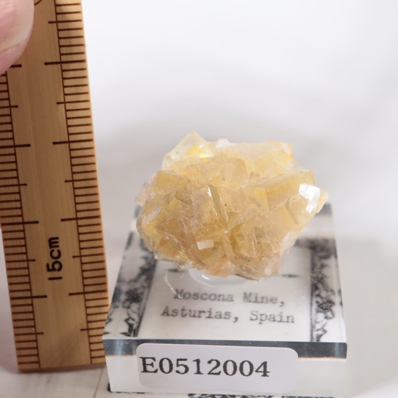 モスコナ鉱山 フローライト | 鉱物標本,ハ行,フローライト/蛍石