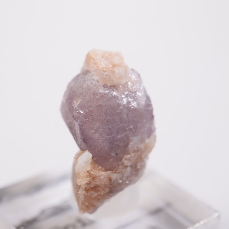 �����������󻺡����ԥͥ�