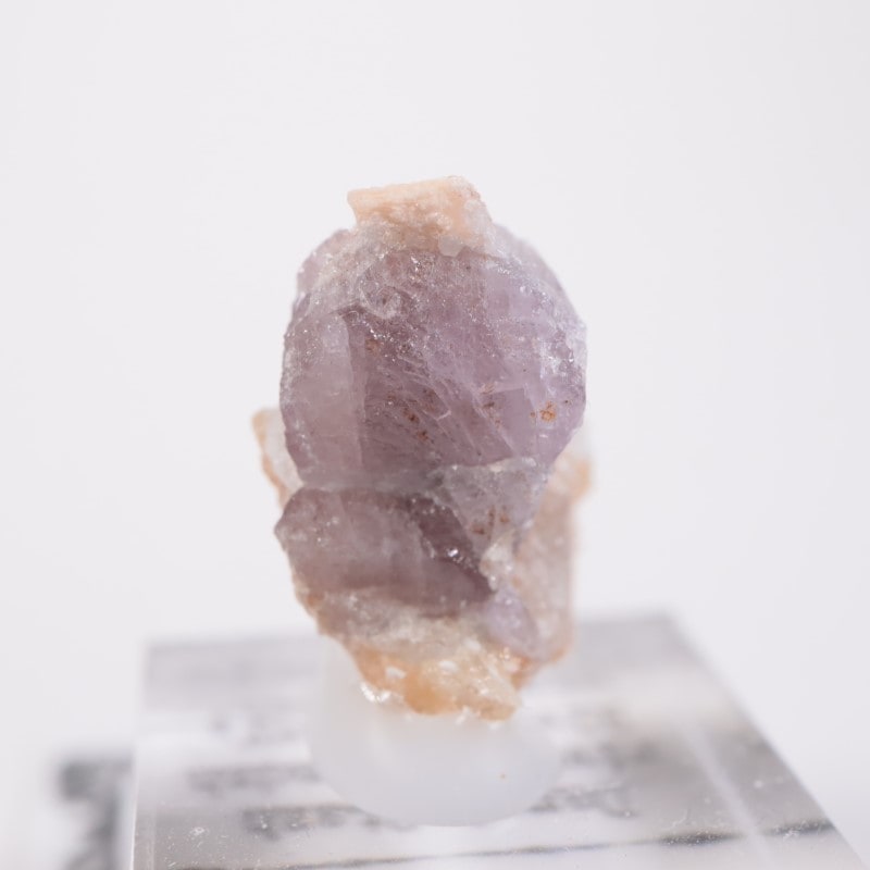 �����������󻺡����ԥͥ�