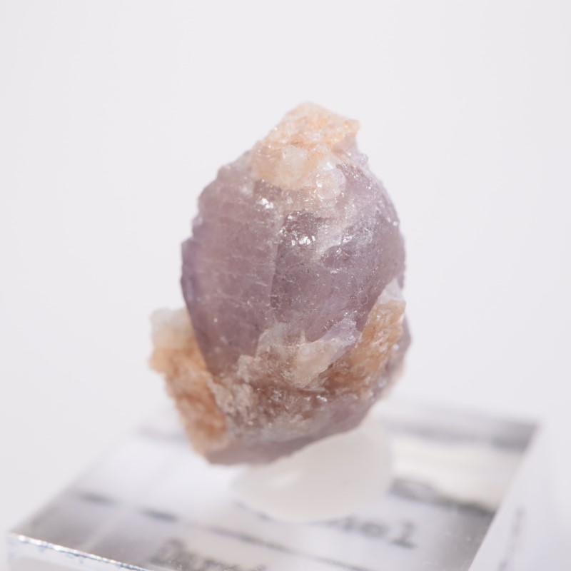 �����������󻺡����ԥͥ�