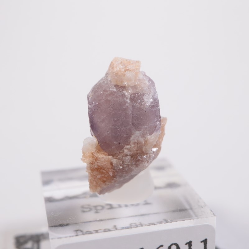 �����������󻺡����ԥͥ�