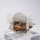 ᥭ Х饤ȡեʥ