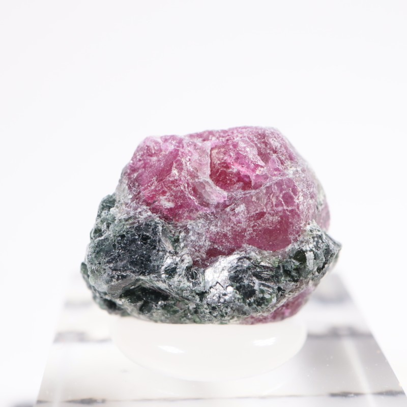 ���󥶥˥��� ��ӡ�