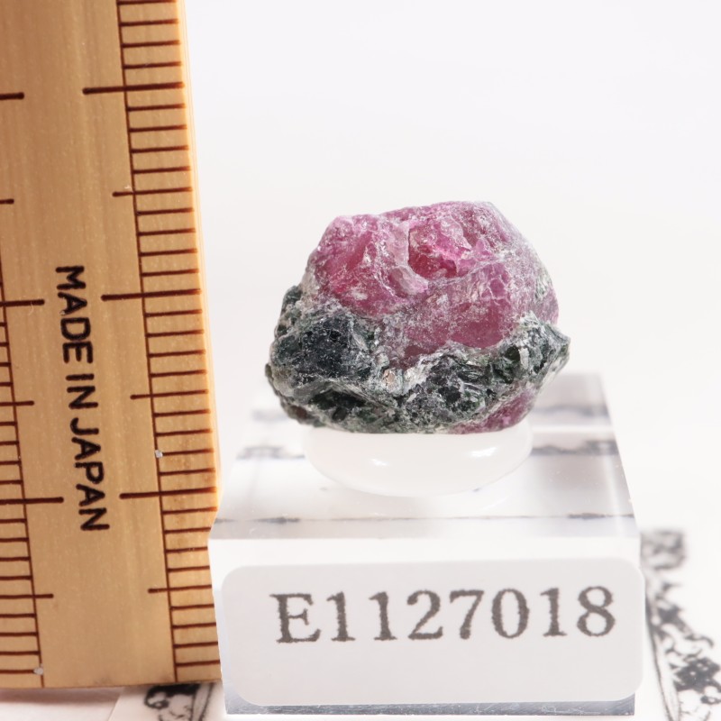 ���󥶥˥��� ��ӡ�