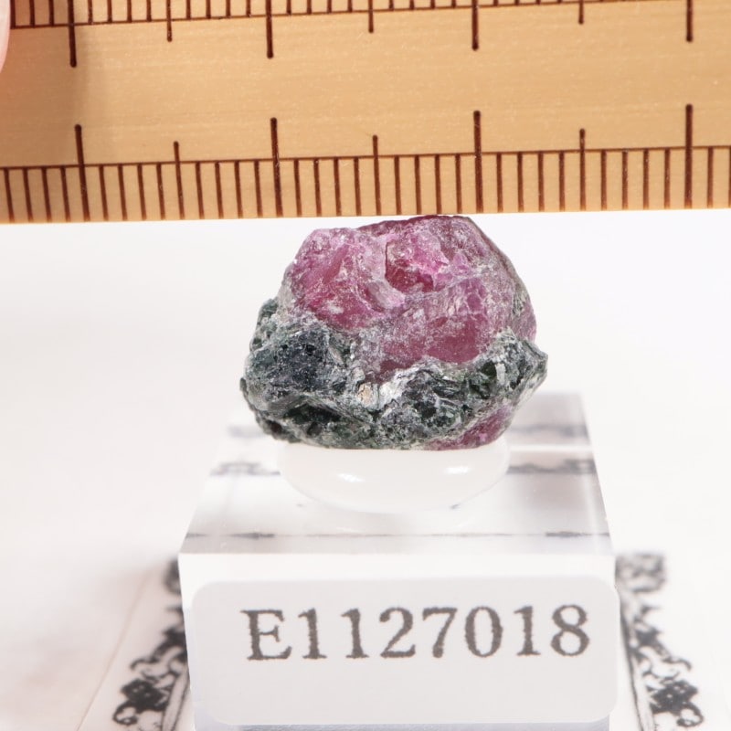 ���󥶥˥��� ��ӡ�