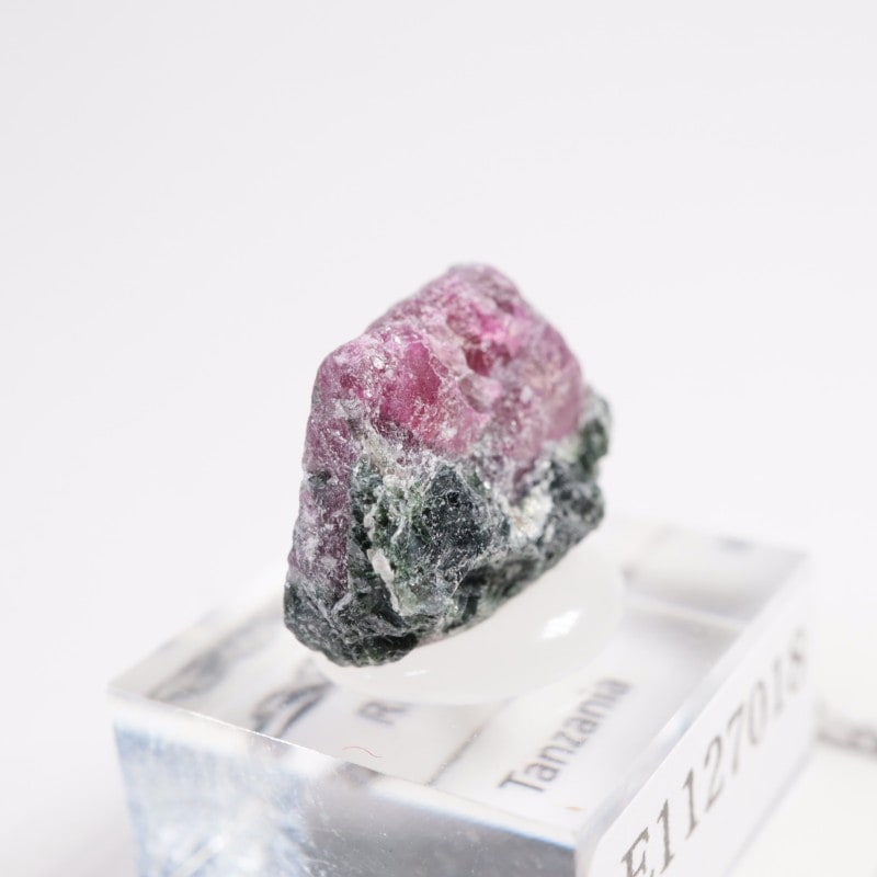 ���󥶥˥��� ��ӡ�