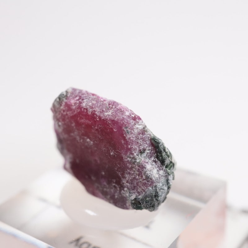 ���󥶥˥��� ��ӡ�