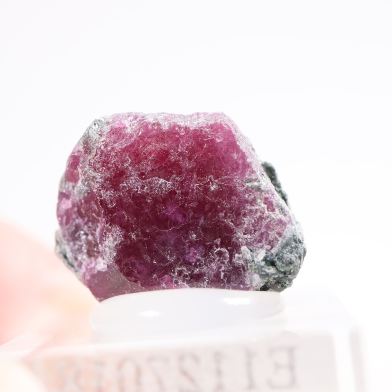 ���󥶥˥��� ��ӡ�