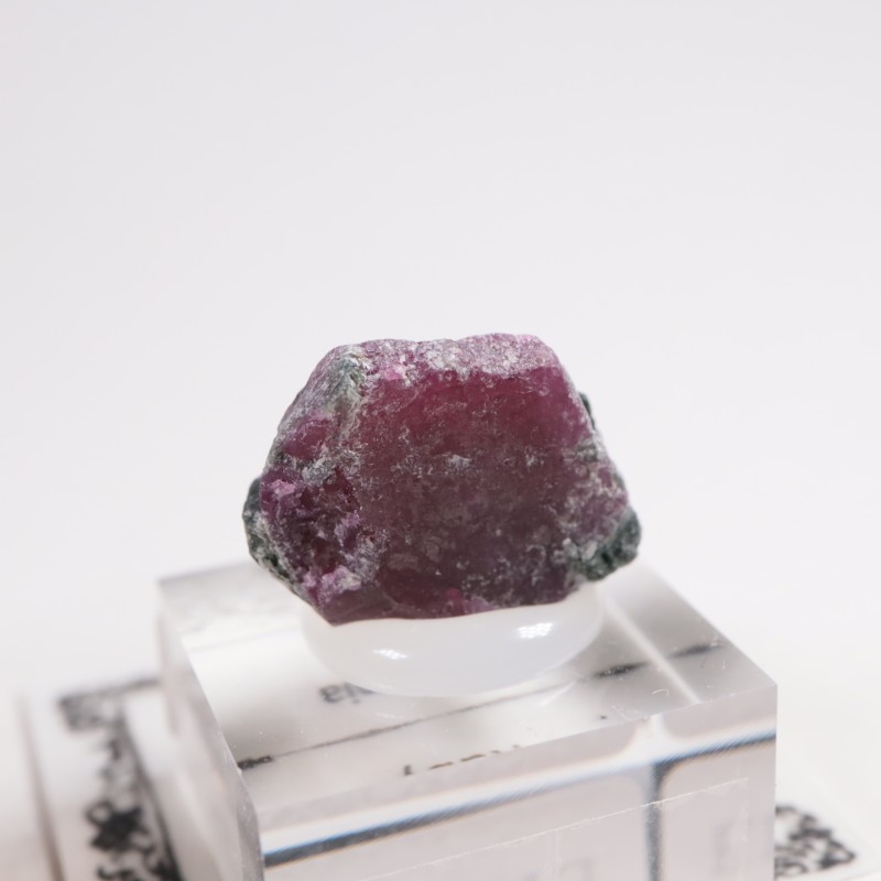 ���󥶥˥��� ��ӡ�