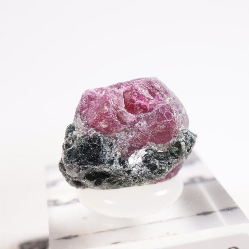 ���󥶥˥��� ��ӡ�