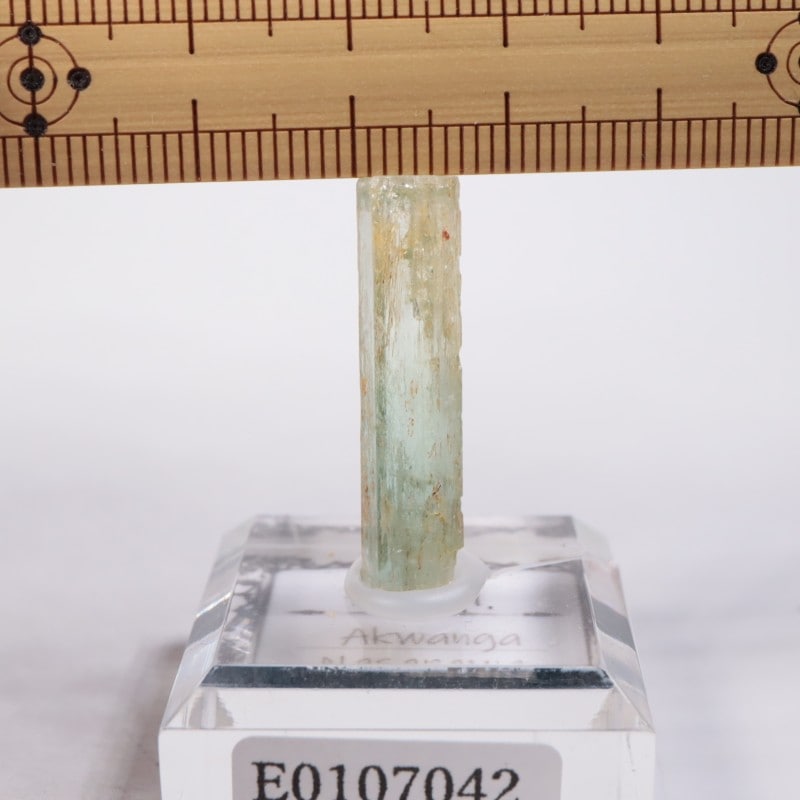 �ʥ������ꥢ�����٥��